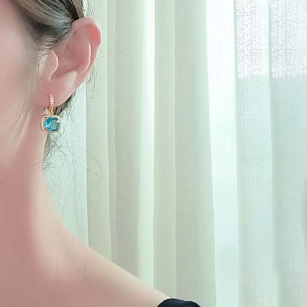S925 Sterling Silver Inlaid Zircon Earrings
